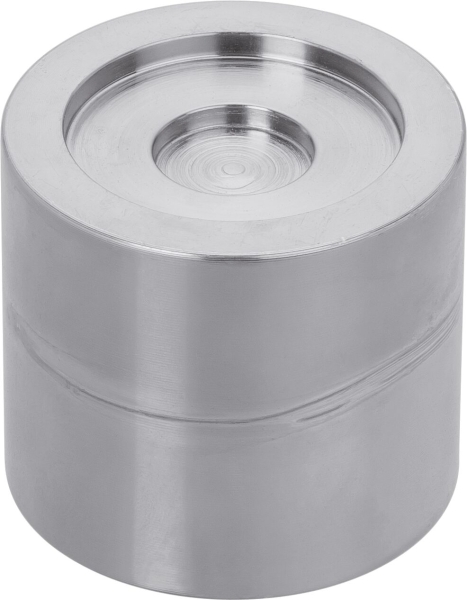 Vigor V2891 Druckstück, RENAULT Laguna I